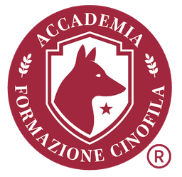 LOGO accademia 
